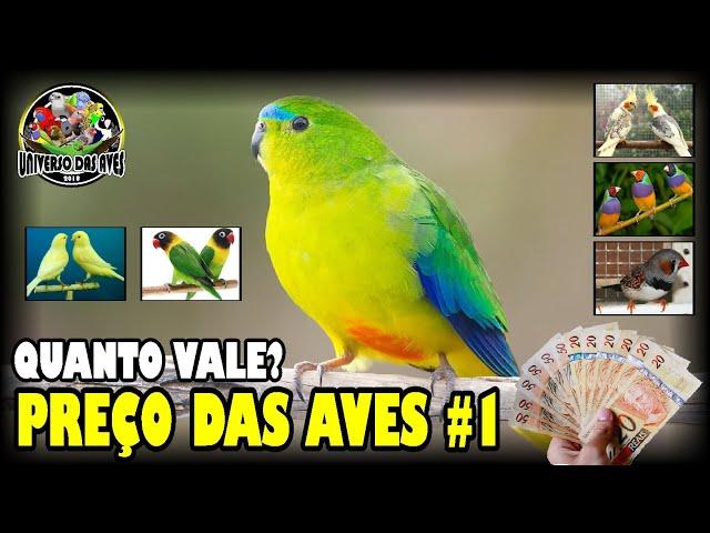 QUANTO VALE MEU PÁSSARO? PREÇO DAS AVES #PARTE 1