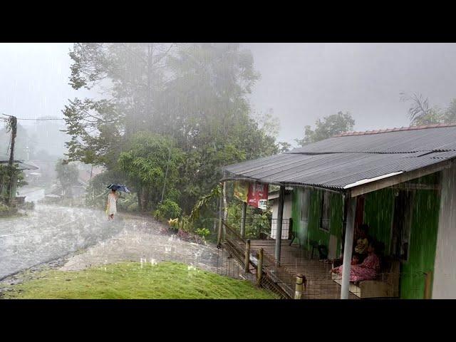 Walking in the rain of Great Thunder in the village Red soil || Very refreshing and soothing