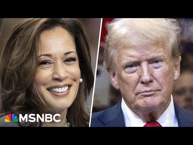 'He has shrunk': Kamala Harris finds antidote to Donald Trump's negativity