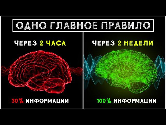 Как быстро и легко запомнить любую информацию! 5 простых способов учиться быстрее и эффективнее!