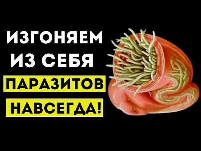 Супер-еда против ПАРАЗИТОВ! Эти 10 Продукты Изгонят Любых Глистов