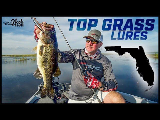 Top 5 Baits for Florida Bass Fishing | Tharp’s Simple Approach