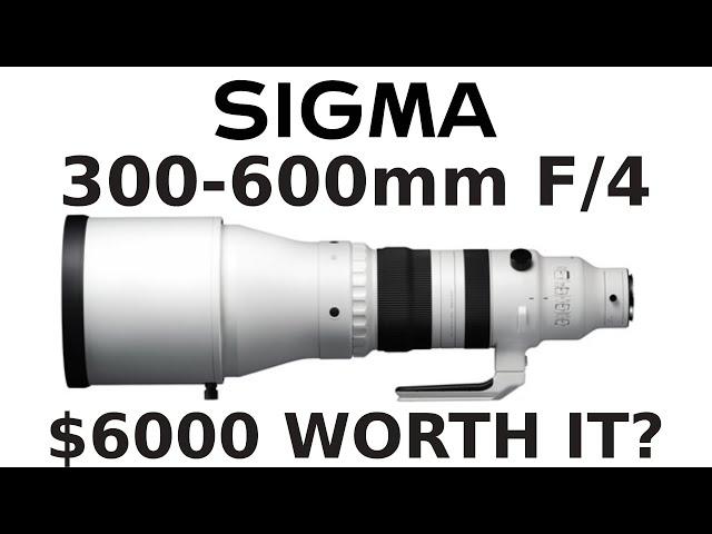 Sigma 300-600mm F4 DG OS Sports Lens Preview  - Is it worth $6,000