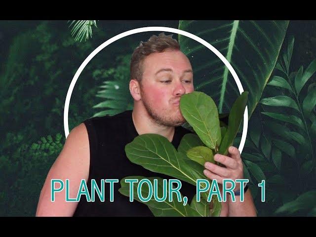 Plant Tour, Part 1