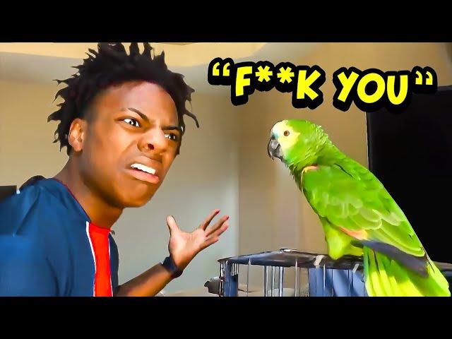 iShowSpeed Buys A Pet PARROT.. (bad idea)