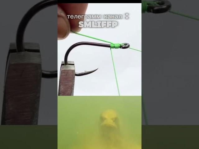 мой телеграмм канал : smliffp #activity #fishing #рыбалканаозере
