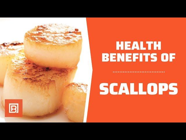 Health benefits of Scallops: The tastiest and healthiest seafood you can eat!