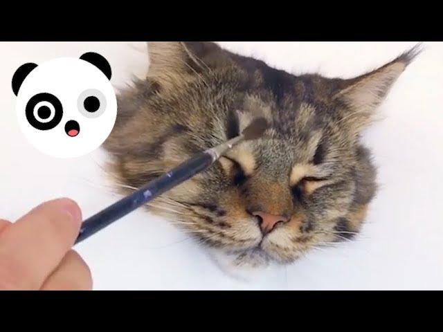 Incredibly Realistic Cute Cat Painting | Bored Panda Animals