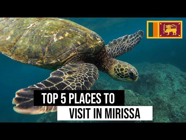 Top 5 places to visit in Mirissa | Sunnysl Travels