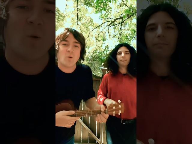 Build Me Up Buttercup (The Foundations) ukelele cover