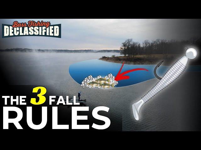 10 Years of Fall Swimbait Fishing Taught Me This...