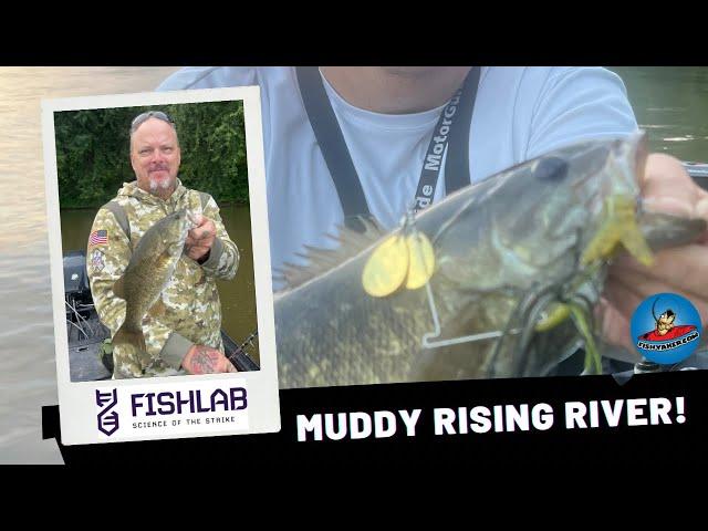 Muddy Rising River Smallmouth Bass! #fishing #bassfishing #fishingvideo