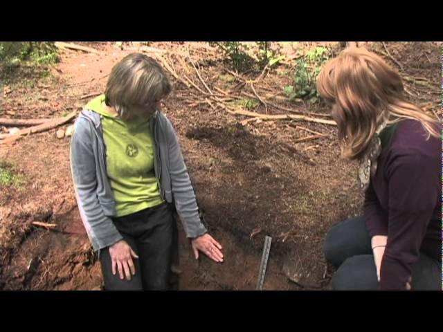 Second Growth Forest - Soil Description