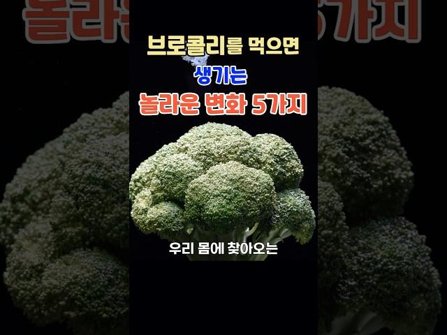 브로콜리 효능 5가지! 브로콜리 항암효과 & 면역력 증진 효과, 매일 먹으면 생기는 놀라운 변화 #브로콜리효능