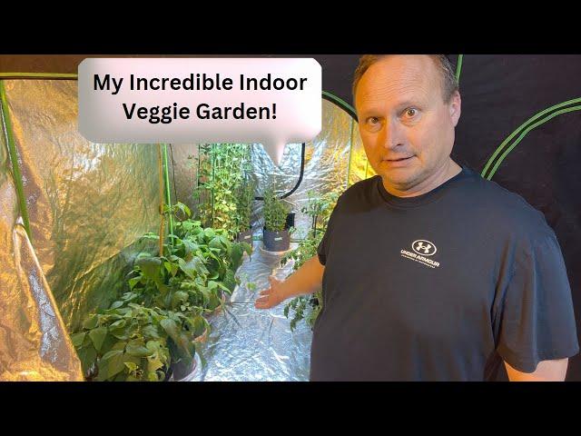 Indoor Vegetable Gardening for Sustainable Growing