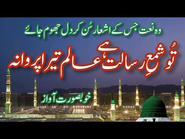 Most Beautiful Urdu Naat Sharif | Tu Shamme Risalat Hai | World Best Naat | Full Naat | New Kalam