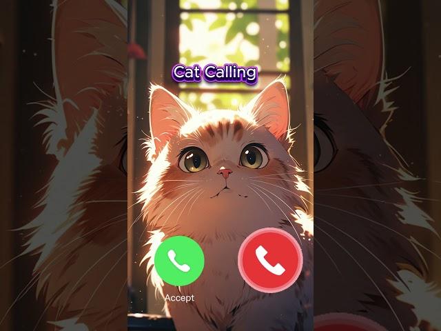 Cat Calling - Ring Ring Meow #calling  #ringtone