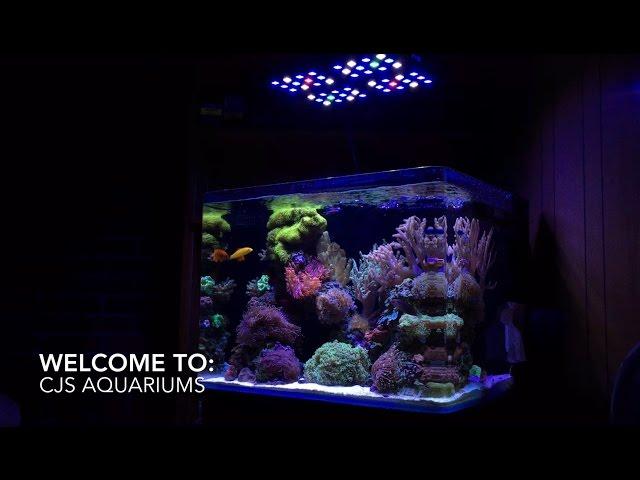 Welcome to CJ's Aquariums - Channel Trailer