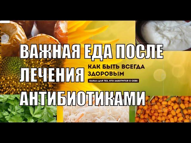 ВАЖНЫЕ ПРОДУКТЫ ПОСЛЕ ПРИЕМА АНТИБИОТИКОВ КАК БЫСТРО ВОССТАНОВИТЬСЯ