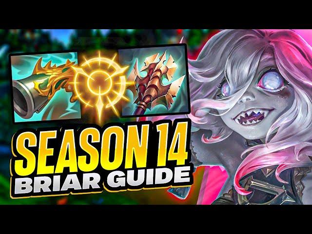 L0ganJGs SEASON 14 Challenger Briar GUIDE for Beginners | Runes, Builds, Pathing