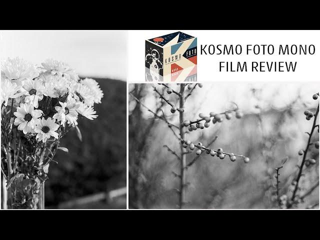 KOSMO FOTO MONO 100 B&W FILM REVIEW