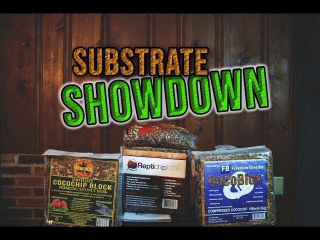 Which COCONUT SUBSTRATE is the Best for Your Reptile? Full Comparison and Review