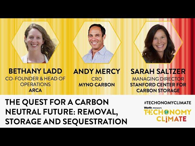 The Quest for a Carbon Neutral Future: Removal, Storage, And Sequestration