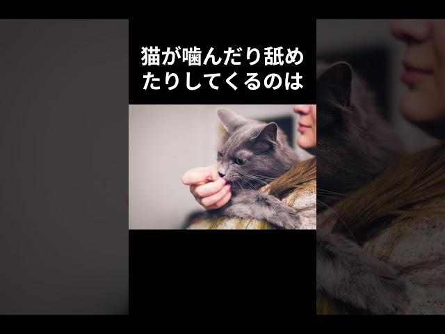 【飼ってる人なら経験ある猫の面白い行動あるある雑学9選】#猫 #猫のいる生活 #雑学 #ペット #shorts