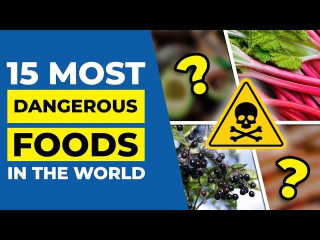 15 Most Dangerous Foods in the World