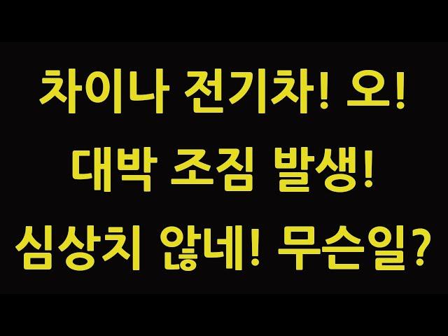 차이나 전기차 SOLACTIVE 주식 주가 전망 타이거 TIGER 중국 ETF 비야디 테슬라 니콜라 루시드 엔비디아 아이온큐 TQQQ SOXL TMF 새로운 국면!