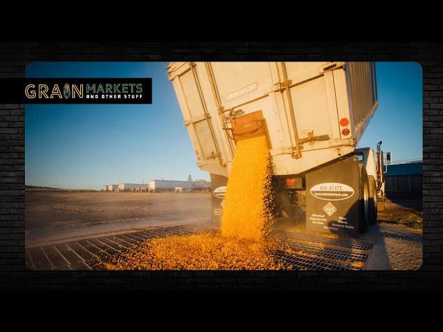 "Brick Wall" of Farmer Selling Caps Corn Rally