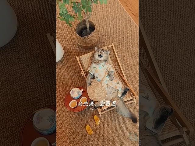 一年比一年通透#人生感悟 #zen #shorts#funny #cute