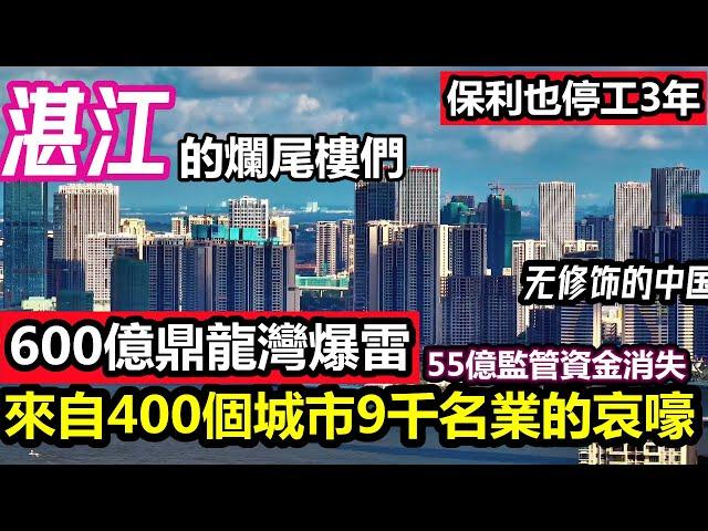 湛江鼎龍灣投資600億停工7個月，監管賬戶55億不翼而飛|湛江保利也停工3年湛江真的是投資客的天堂嗎|#無修飾的中國#保利爆雷#停工#湛江發展