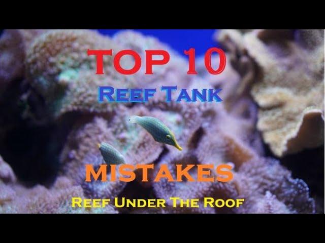 Top 10 Reef Tank Beginner Mistakes