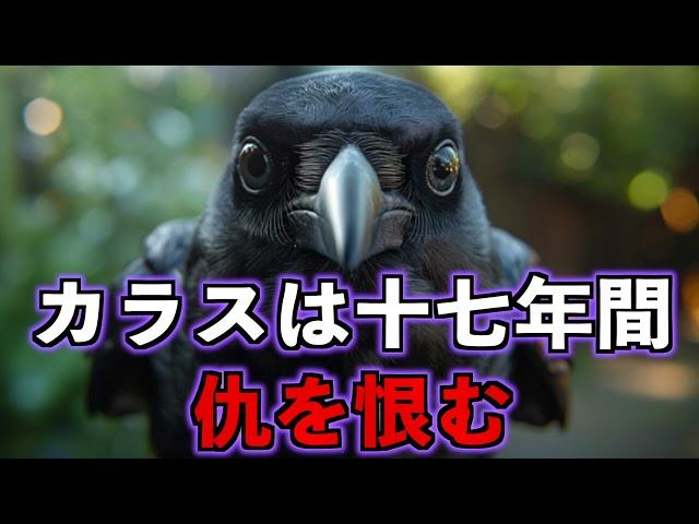 【怪事件の真相】カラスは十七年間仇を恨む【恐怖】