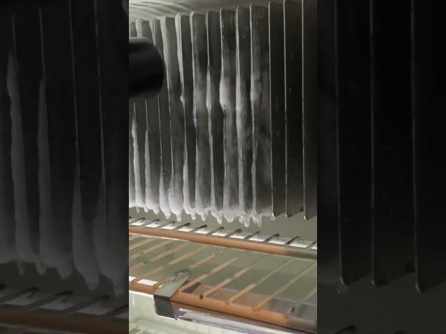 Fastest Way To Defrost RV Refrigerator!