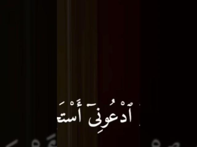 ٢١ ديسمبر، ٢٠٢٤