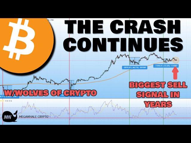 Bitcoin (BTC): Biggest Sell Signal In 2 Years w/Wolves Of Crypto