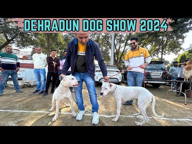 DEHRADUN DOG SHOW 2024 | 30 DOG BREEDS IN SHOW LIKE GREAT DANE, DOGO ARGENTINO AND MANY OTHERS