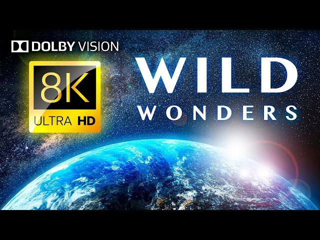 WILD WONDERS: Earth's Animals and Landscapes 8K HDR / DOLBY VISION®