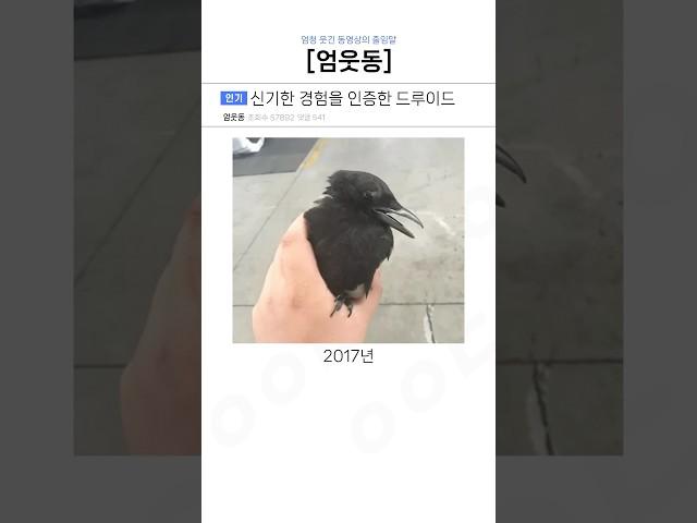 신기한 경험을 인증한 드루이드들