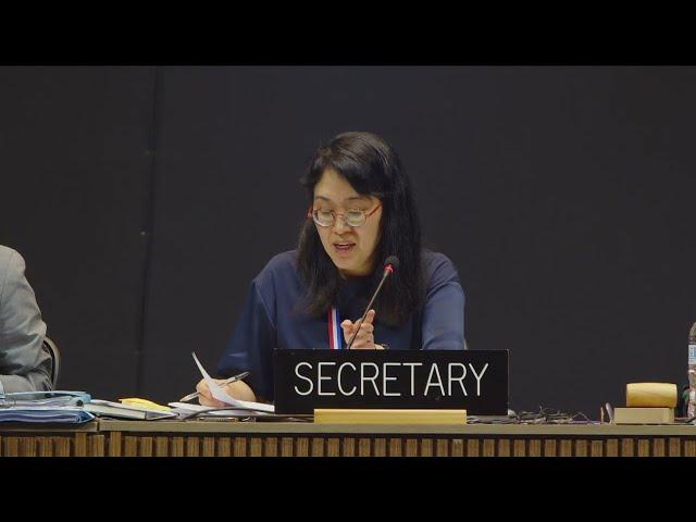 19th session of the Intergovernmental Committee - Floor - 3 December 2024 - pt6c