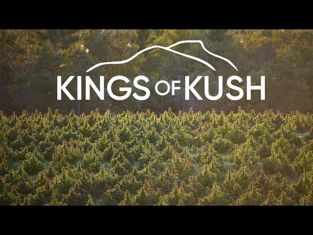 KINGS of KUSH | NEW VICE TV SERIES PROMO