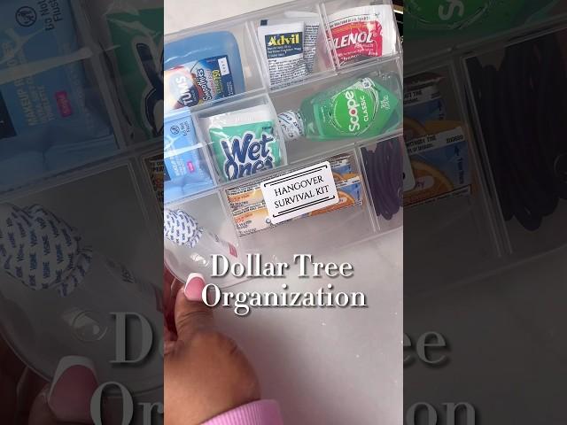 Dollar Tree Organization Hacks  #dollartree #organization #girlstrip #bachelorette #momlife #tips