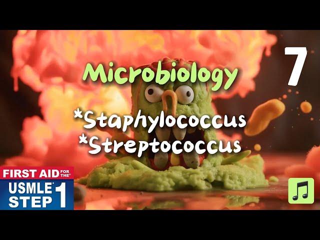 Microbiology. Staphylococcus & Streptococcus. 2024 First Aid USMLE Step 1 #firstaidusmle