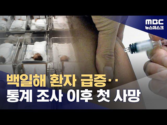 '대유행' 백일해, 국내 첫 사망자 발생‥"임신부 예방접종 필수" (2024.11.12/뉴스데스크/MBC)