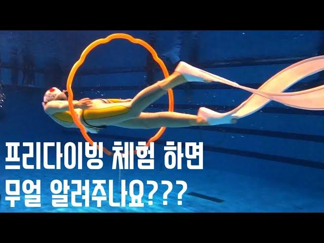 프리다이빙 체험 하면 뭘 배울까??