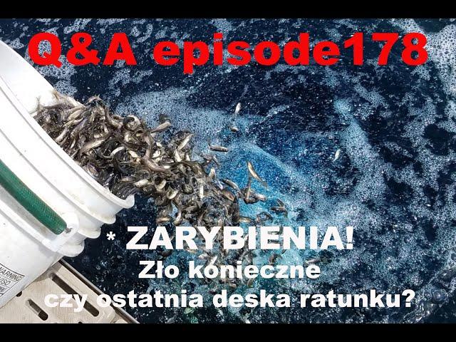 Q&A odcinek 178 - Jak zarybienia wpływają na rodzime populacje ryb?