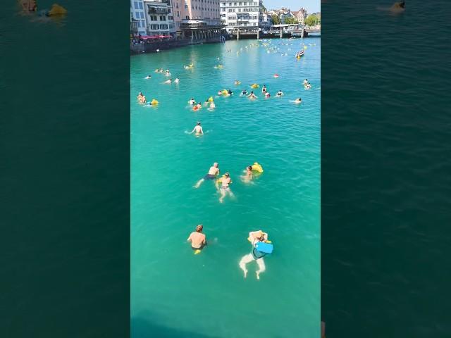 Zurich  Switzerland Limmat river Swim  #zurich #schwimmen