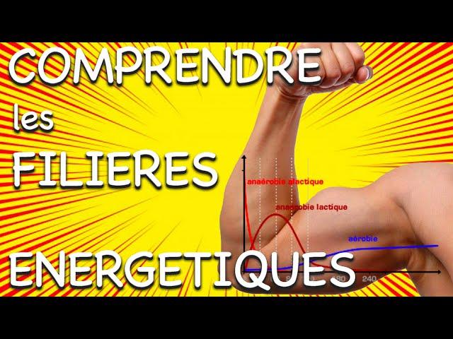 Comprendre les filières énergétiques!